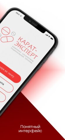 КАРАТ-ЭКСПЕРТ для iOS — скриншот 4