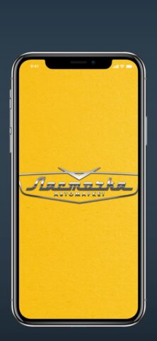 Ласточка для iOS — скриншот 1