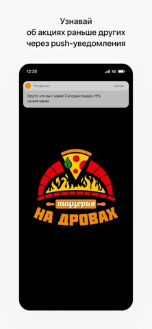 На дровах | Борисоглебск для iOS — скриншот 1