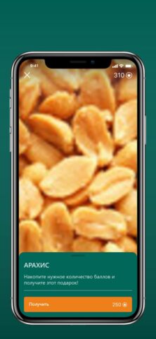 Паб Белый Лис для iOS — скриншот 5