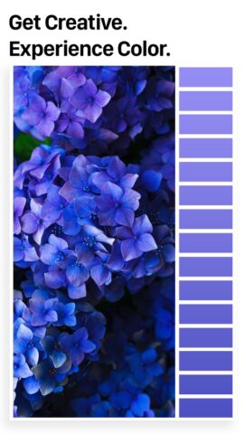 Palette Republic — скриншот 4