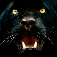 Черная пантера обои для Android