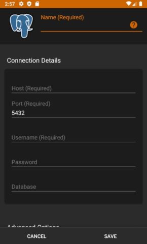 Postgres Client для Android — скриншот 2