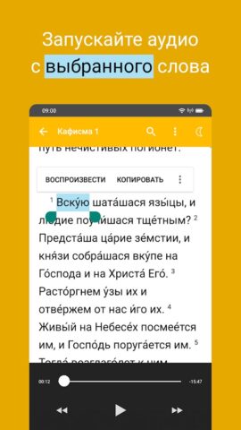 Псалтирь для Android — скриншот 2