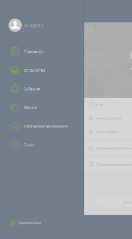 RVi Connect для Android — скриншот 2