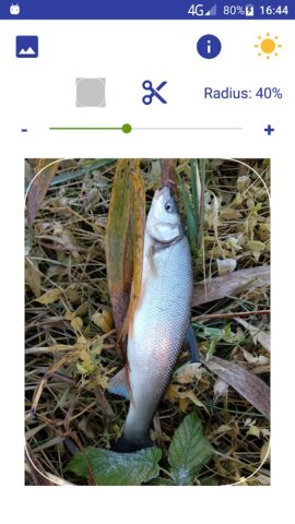 Закругление углов фото для Android — скриншот 4