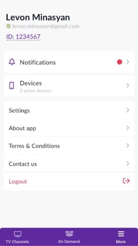 Shant Digital TV для Android — скриншот 4