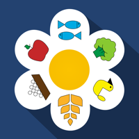 6 Лепестков для iOS