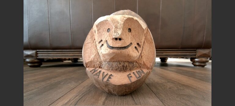 USB Camera Viewer для Android — скриншот 3