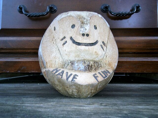 USB Camera Viewer для Android — скриншот 5