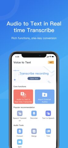 Voice to Text, voice memo для iOS — скриншот 2