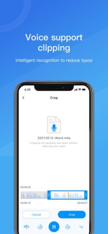 Voice to Text, voice memo для iOS — скриншот 4