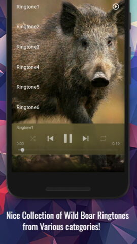 Звуки дикого кабана для Android — скриншот 2