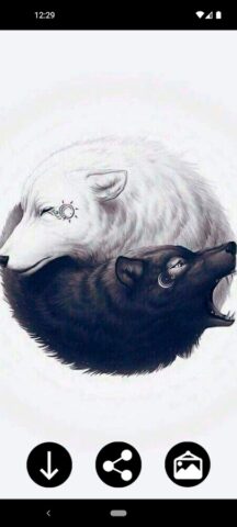 Инь Ян Обои для Android — скриншот 3