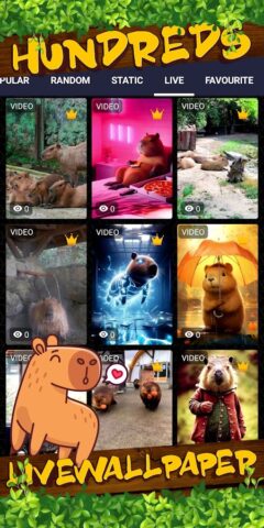 капибара обои для Android — скриншот 3