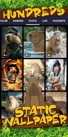 капибара обои для Android — скриншот 4