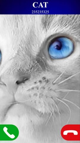 звонок поддельный кот игра для Android — скриншот 4