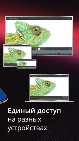 АКАДО ТВ для Android — скриншот 2