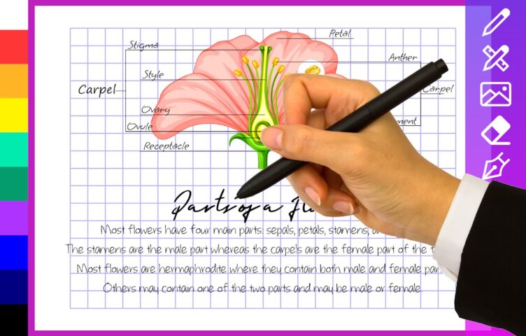 Рукописный блокнот для Android — скриншот 5