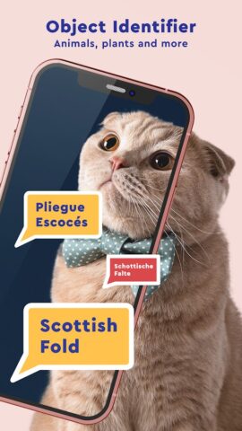 Duff Translate, переводчик для Android — скриншот 4