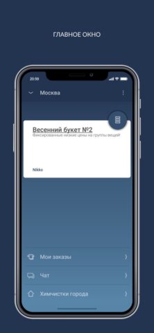 Химчистка Инфо для iOS — скриншот 1