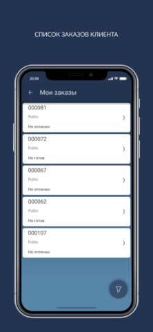 Химчистка Инфо для iOS — скриншот 5
