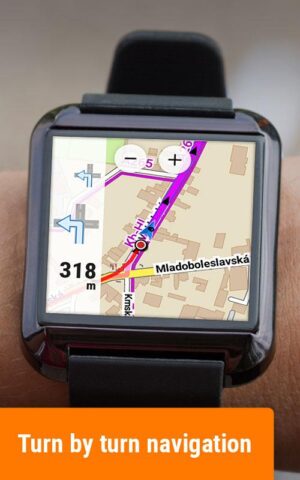 Locus Map Watch для Android — скриншот 4