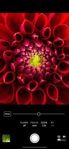 Режим Макро для iOS — скриншот 1