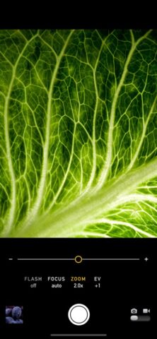 Режим Макро для iOS — скриншот 2