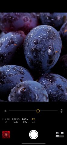 Режим Макро для iOS — скриншот 4