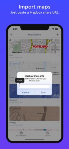 Mapbox Studio Preview для iOS — скриншот 4