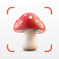 распознание грибов для iOS