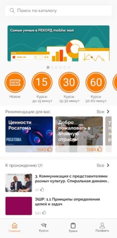 РЕКОРД mobile для Android — скриншот 2