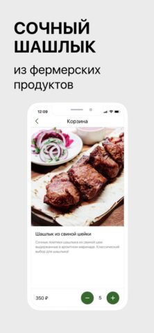 Шашлык Сити для iOS — скриншот 4
