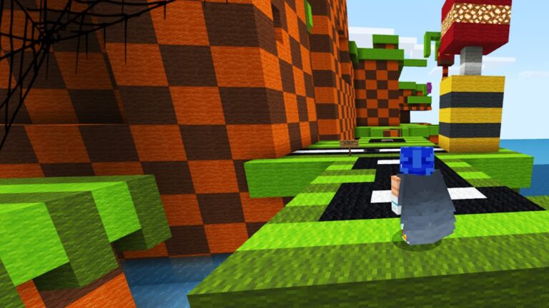 Соник Карта и скин mcpe для Android — скриншот 1