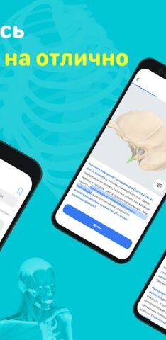 Учи Мед (Учи Анат) для Android — скриншот 2