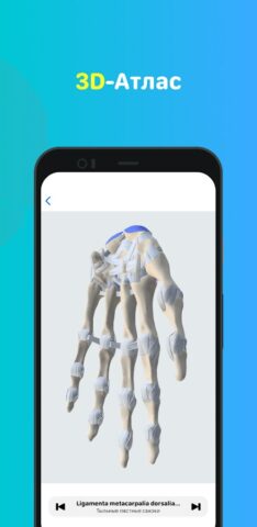 Учи Мед (Учи Анат) для Android — скриншот 4