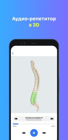 Учи Мед (Учи Анат) для Android — скриншот 5