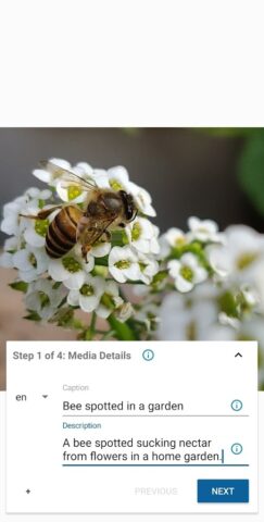 Wikimedia Commons для Android — скриншот 2