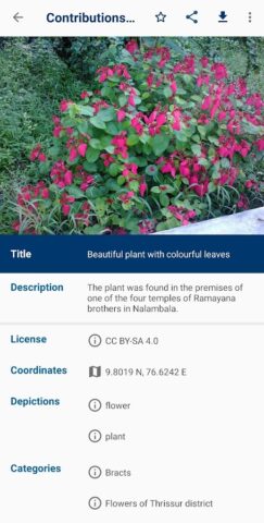 Wikimedia Commons для Android — скриншот 3
