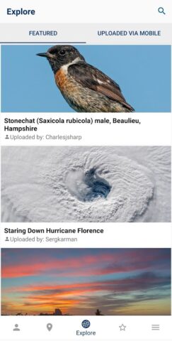 Wikimedia Commons для Android — скриншот 5