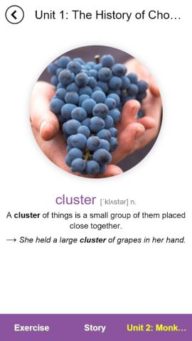 4000 Essential English Words 4 для Android — скриншот 4