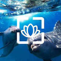 Красивые Обои на Телефон для Android