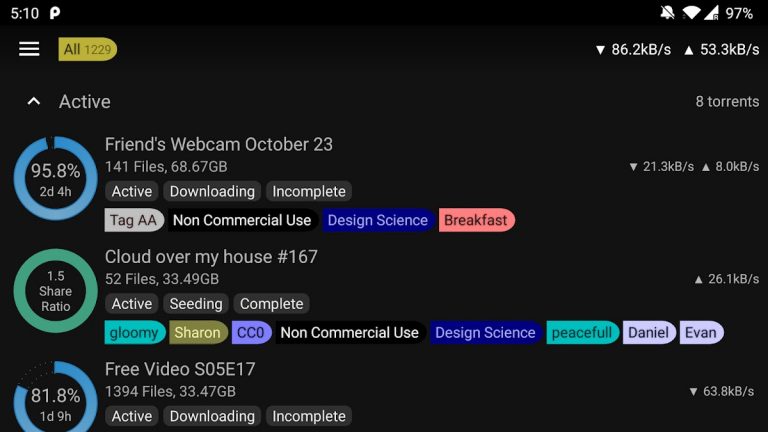 BiglyBT, торрент-клиент для Android — скриншот 5