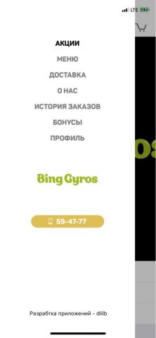 BingGyros для iOS — скриншот 2