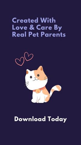 Cat Music — Relax my Cat для Android — скриншот 5