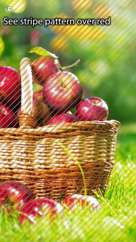 Color Blind Pal для Android — скриншот 5