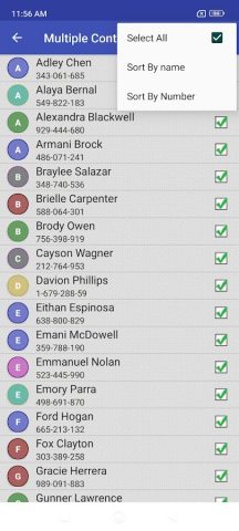 Delete all Phonebook Contacts для Android — скриншот 5