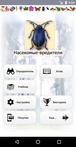 ЭкоГид: Насекомые-вредители для Android — скриншот 1