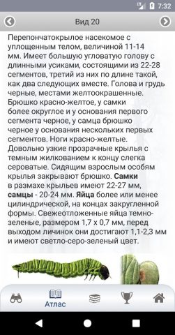 ЭкоГид: Насекомые-вредители для Android — скриншот 5